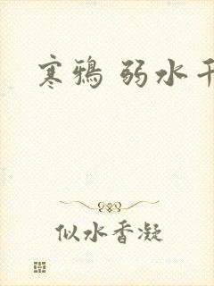 寒鸦 弱水千流