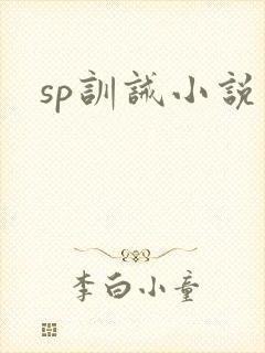 sp训诫小说