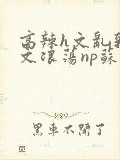 高辣h文乱乳h文浪荡np苏夏