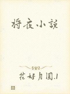 将夜小说