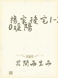 杨家后宅1-20暖阳