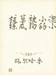 校草被小混混训练成狗的小说