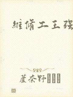 维修工王强张婷