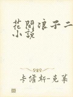 花间浪子二十部小说