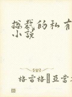 总裁的私有宝贝小说