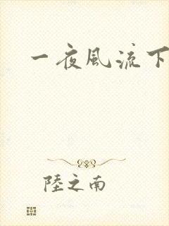 一夜风流下载