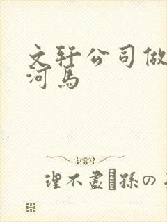 文轩公司做扩张河马