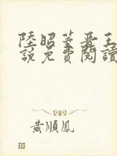 陆昭菱晋王的小说免费阅读