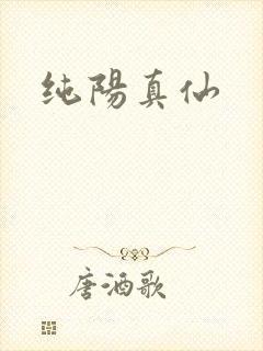 纯阳真仙