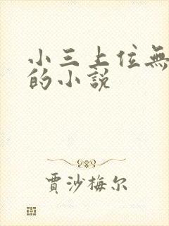 小三上位无三观的小说