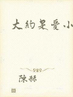 大约是爱小说