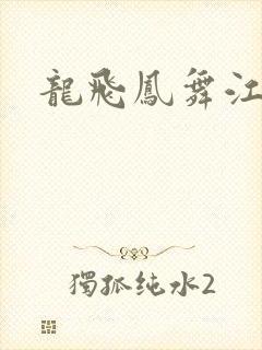 龙飞凤舞江一龙