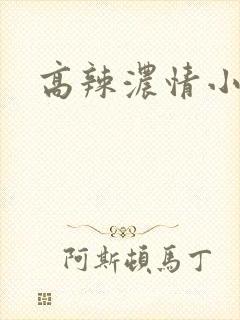 高辣浓情小说