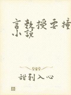 言教授要撞坏了小说