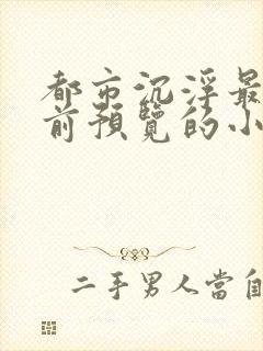 都市沉浮最快超前预览的小说3030