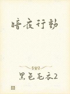 暗夜行动