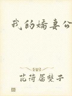 我的娇妻公务员