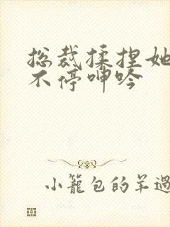 总裁揉捏她两乳不停呻吟