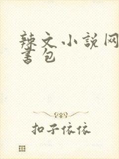 辣文小说网第二书包