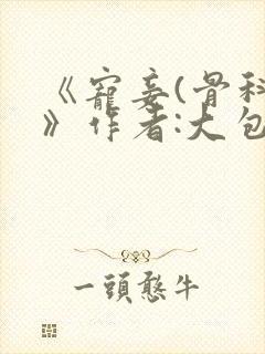 《宠妾(骨科)》作者:大包子