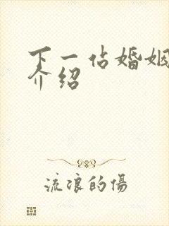 下一站婚姻剧情介绍