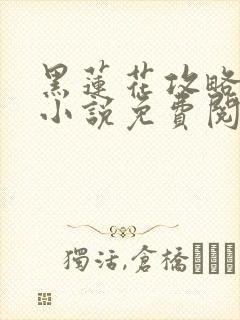 黑莲花攻略手册小说免费阅读全文