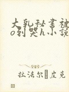 大乳秘书被cao到哭h小说