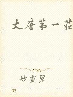 大唐第一庄