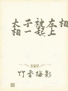 太子被左相和右相一起上