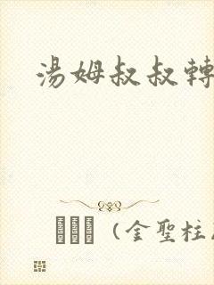 汤姆叔叔转接口