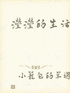 滢滢的生活日记