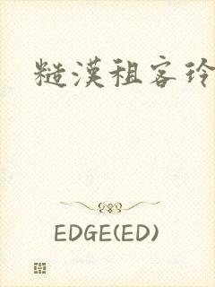 糙汉租客玲珑塔