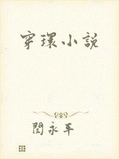 穿环小说