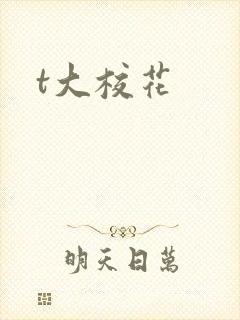 t大校花