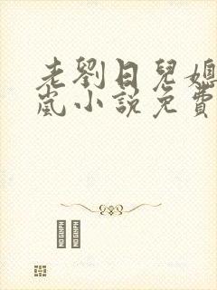 老刘日儿媳妇张岚小说免费阅读