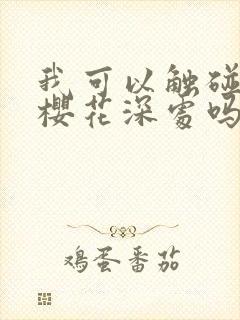 我可以触碰你的樱花深处吗