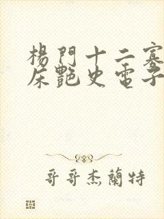 杨门十二寡妇肉床艳史电子书