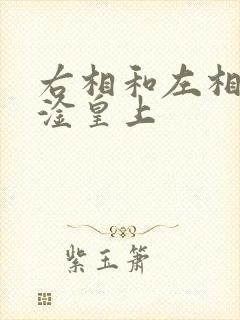 右相和左相一起淦皇上