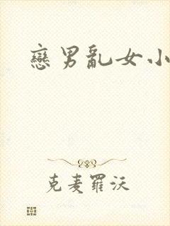 恋男乱女小说