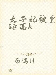 太子妃被皇上强睡高h