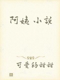 阿姨 小说
