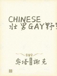 CHINESE壮男GAY野战强迫TUBE