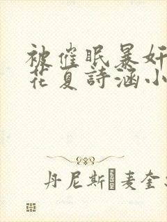 被催眠暴奸的校花夏诗涵小说