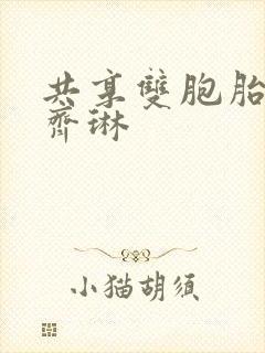 共享双胞胎齐娜齐琳