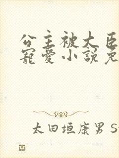 公主被大臣轮番宠爱小说免费阅读