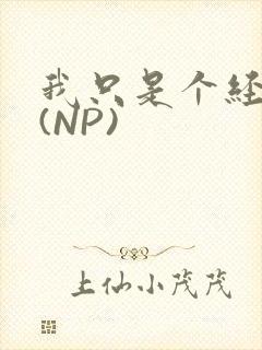 我只是个经纪人(NP)