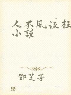 人不风流枉少年小说