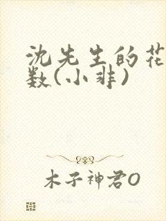 沈先生的花式调数(小非)