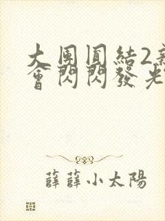 大团圆结2亲情会闪闪发光