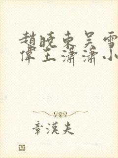 赵晓东吴雪晴郑伟王潇潇小说